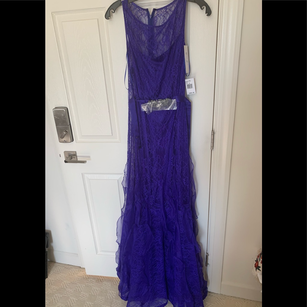 Teri Jon By Rickie Freeman Brand New Gown